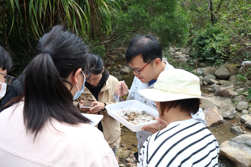 實地考察貝澳濕地生態環境