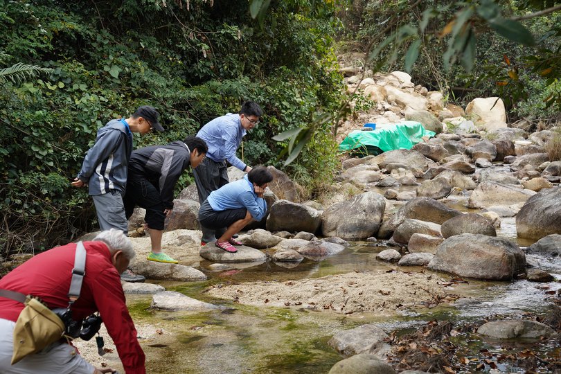 實地考察大嶼山淡水濕地生境