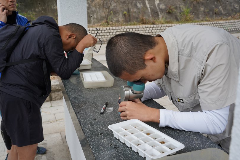 利用顯微鏡觀察河溪物種