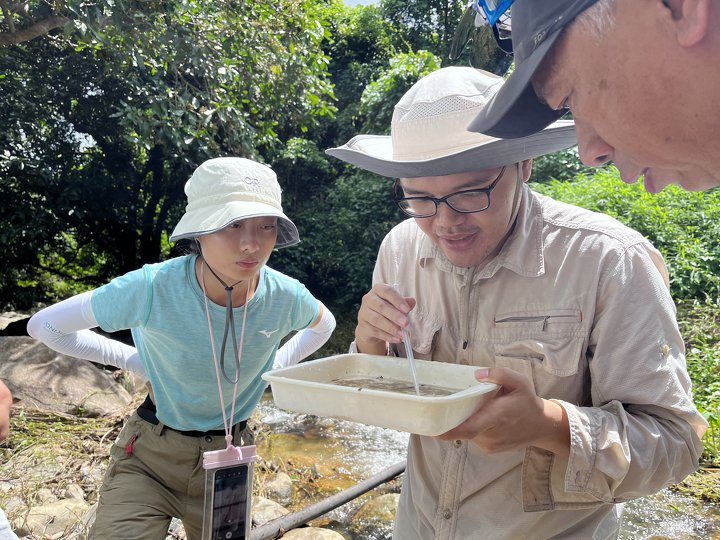 實地考察深屈、石門甲，貝澳，學習河溪淡水生態